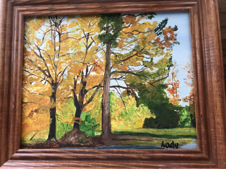 oie fixztiWap9Z 768x576